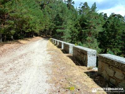 Garganta del Arroyo de Minguete - Puerto de Fuenfría;vacaciones singles madrid excursiones por la p